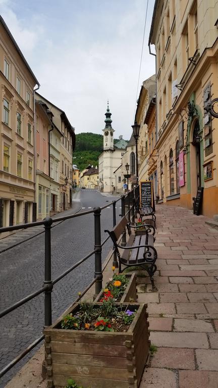Siglisberg Villa Banská Štiavnica Rom bilde