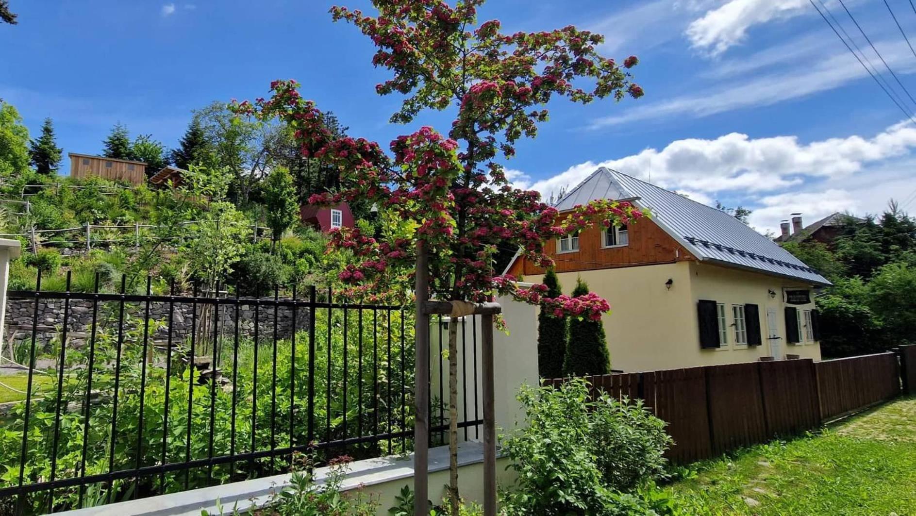 Siglisberg Villa Banská Štiavnica Eksteriør bilde